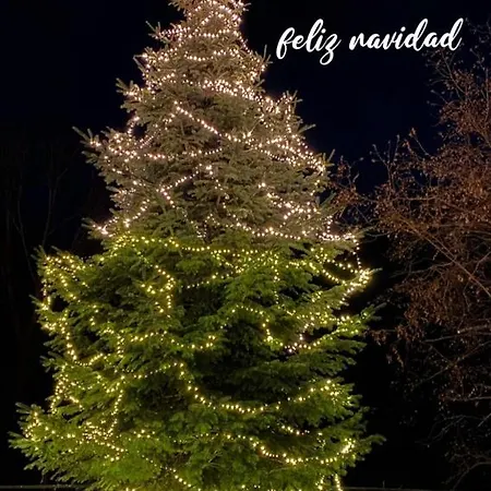 Alta Muntanya *