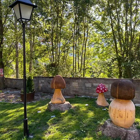 Alta Muntanya Apartment Barruera