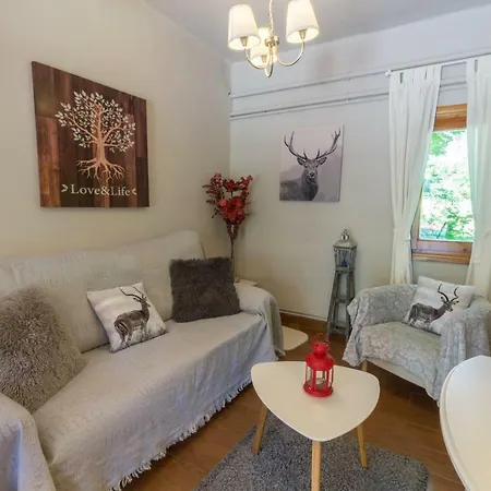 Appartement Alta Muntanya Barruera