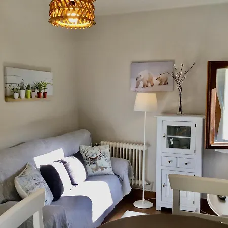 Alta Muntanya Apartment Barruera